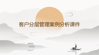 客户分层管理案例分析课件