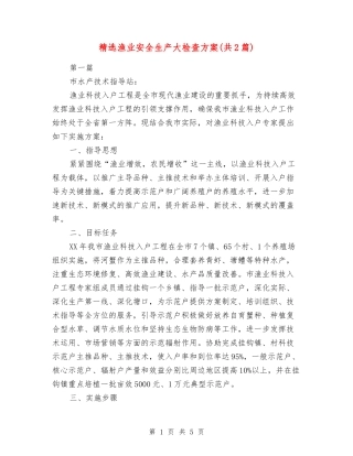 渔业安全生产大检查方案