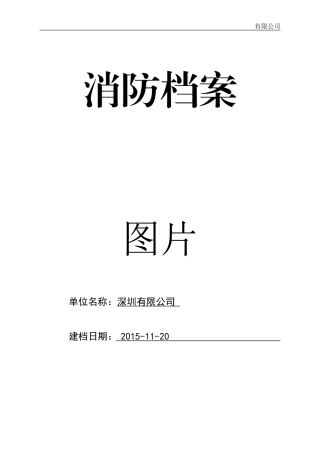 某某公司消防档案