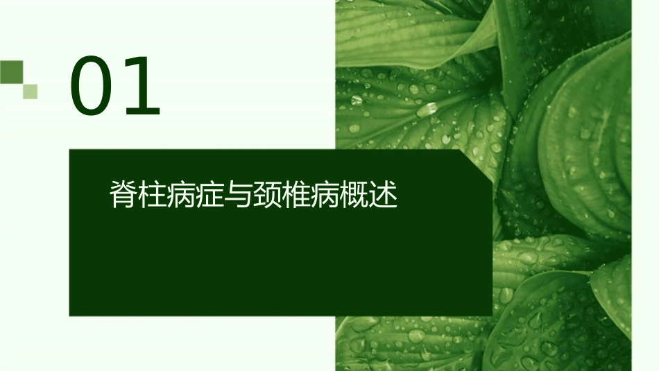 脊柱病症推拿治疗颈椎病颈椎病康复评定护理课件_第3页