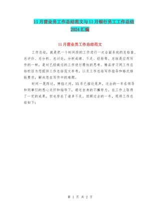 11月营业员工作总结范文与11月银行员工工作总结2024汇编