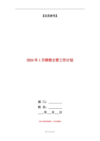 2024年1月销售主管工作计划