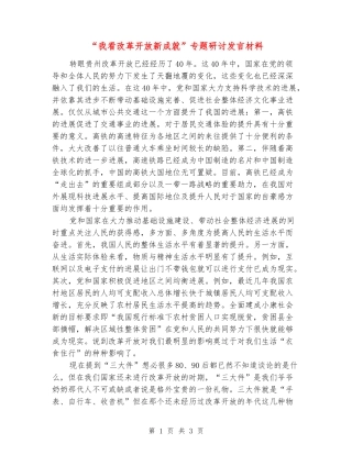 “我看改革开放新成就”专题研讨发言材料