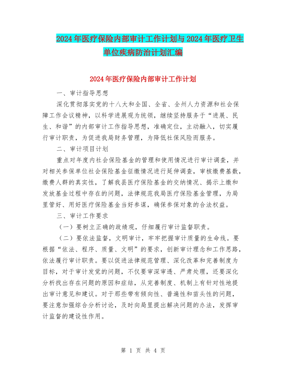 2024年医疗保险内部审计工作计划与2024年医疗卫生单位疾病防治计划汇编_第1页