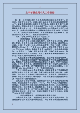 上半年就业局个人工作总结