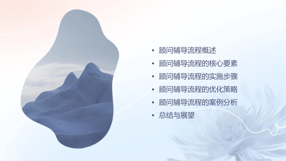 顾问辅导流程课件_第2页