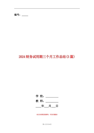 2024财务试用期三个月工作总结