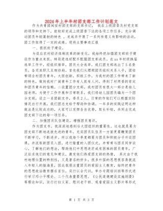 2024年上半年村团支部工作计划范文
