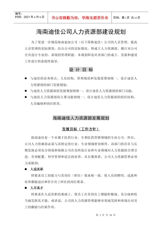 海南迪加公司人力资源部建设规划