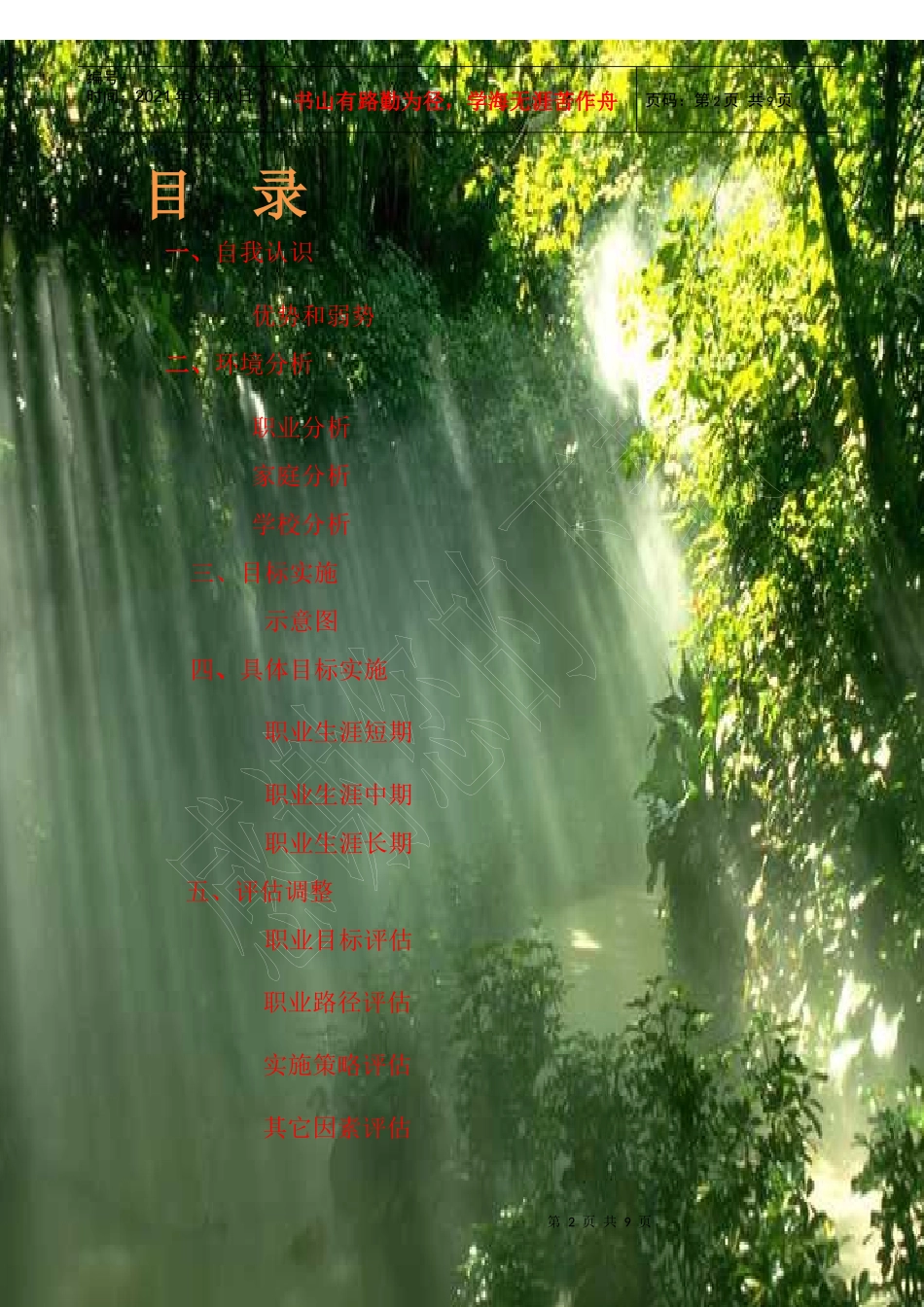 新改 张冰恋 职业规划1_第2页