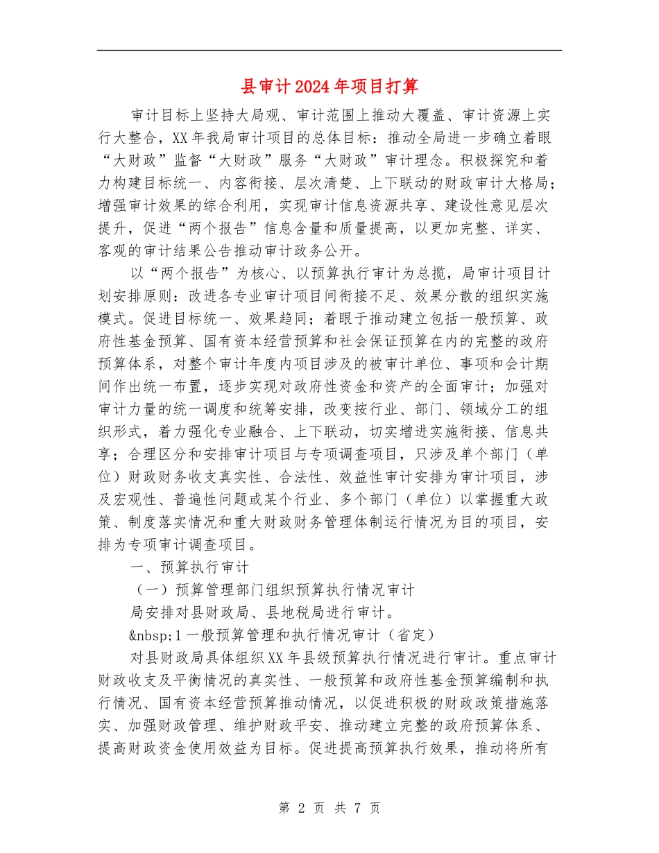 县审计2024年项目打算_第2页