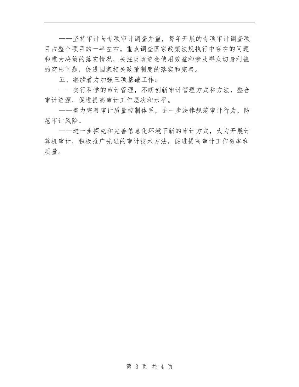 2024审计工作发展计划_第3页