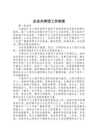 企业共青团工作规章制度 (2)