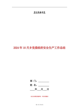 2024年10月乡党委政府安全生产工作总结
