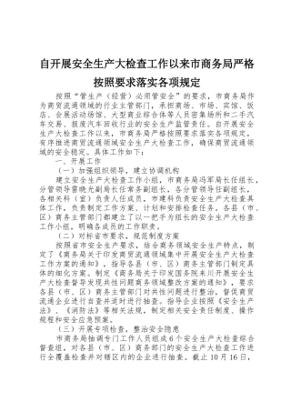 自开展安全生产大检查工作以来市商务局严格按照要求落实各项规定