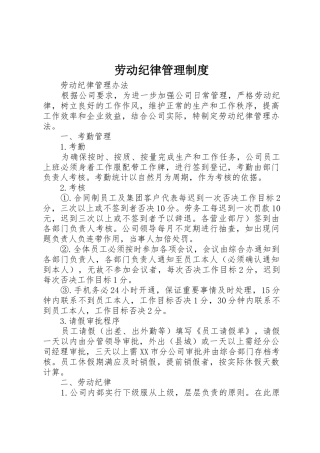 劳动纪律管理规章制度 (2)