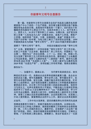 市级青年文明号自查报告