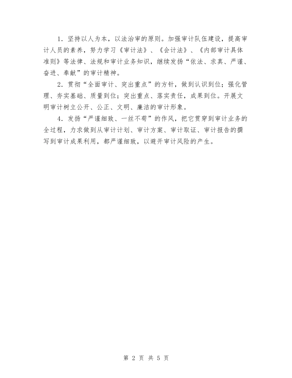 2024年审计工作思路与2024年审计工作计划-1汇编_第2页