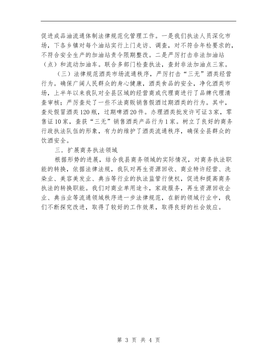 商务行政执法大队半年工作总结_第3页