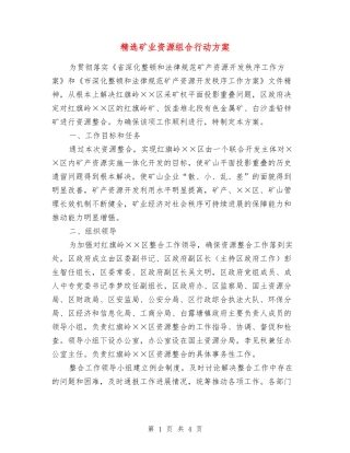矿业资源组合行动方案