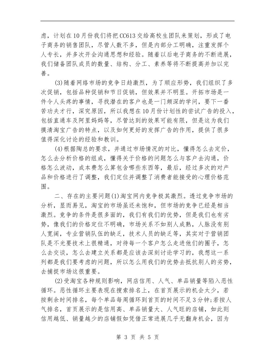 电子商务年度个人工作总结2024_第3页