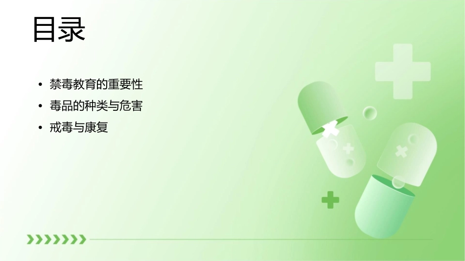 禁毒教育护理课件_第2页