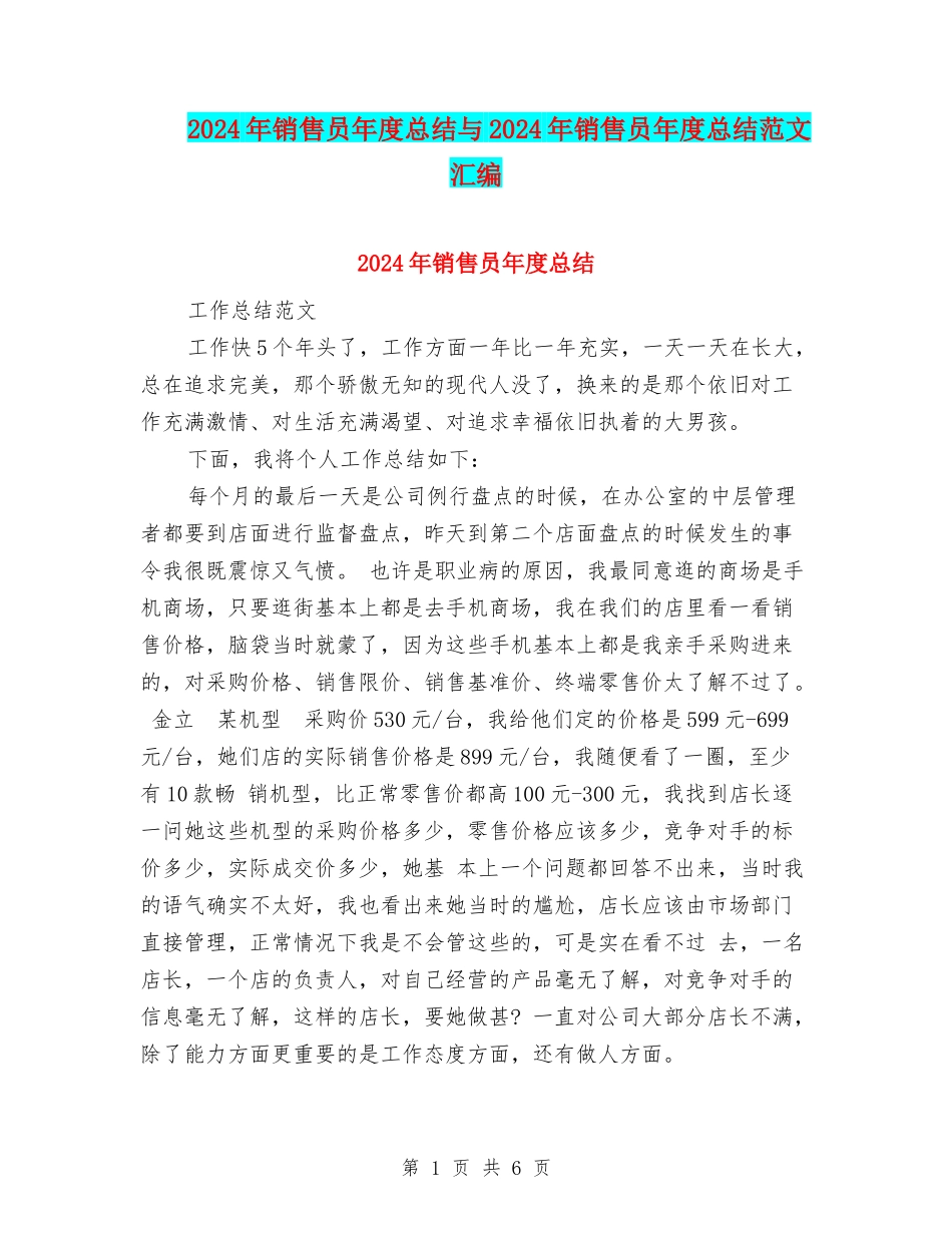 2024年销售员年度总结与2024年销售员年度总结范文汇编_第1页