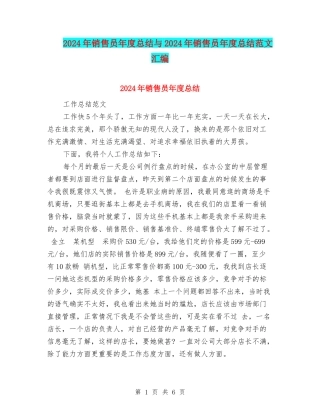 2024年销售员年度总结与2024年销售员年度总结范文汇编