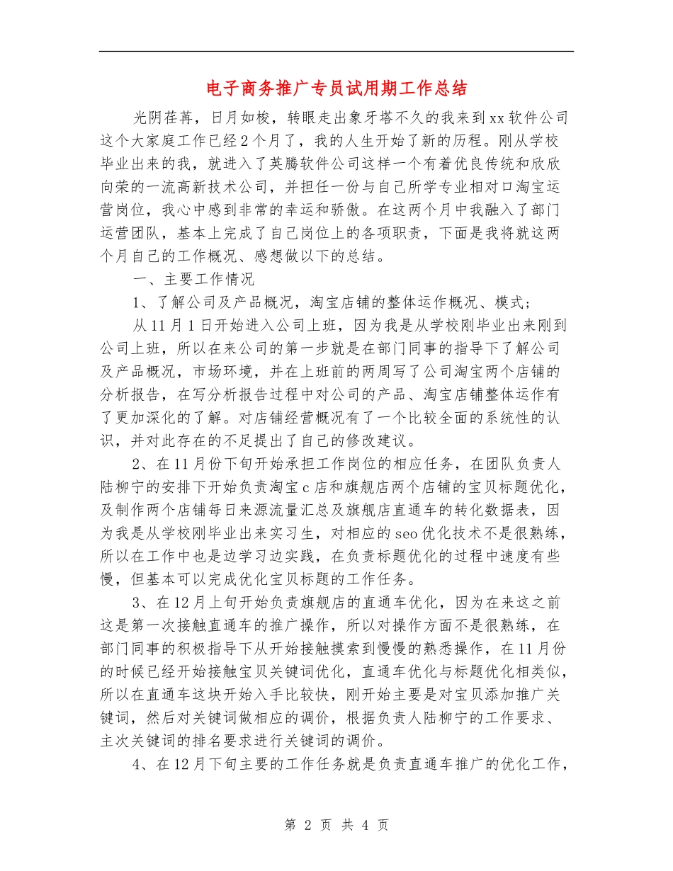 电子商务推广专员试用期工作总结_第2页