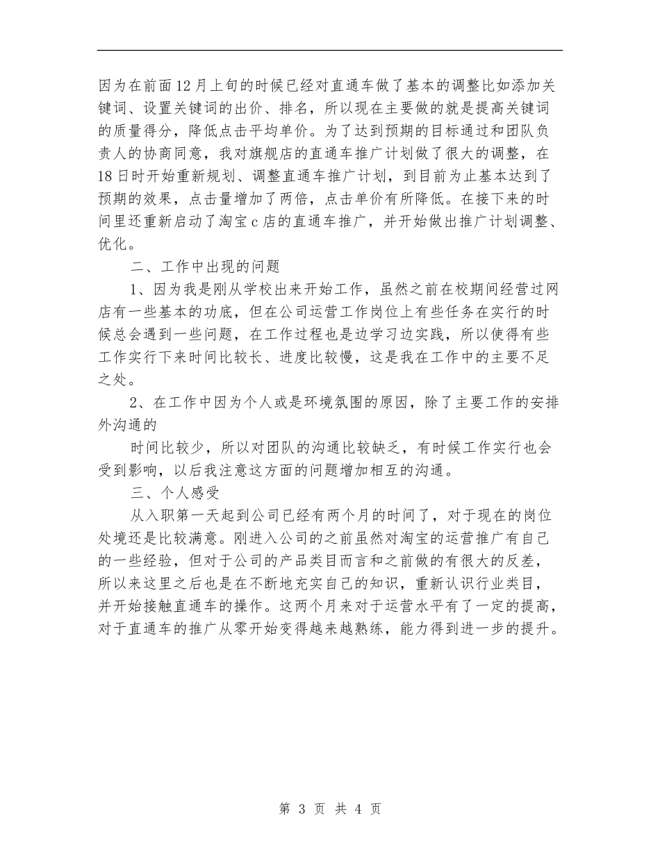 电子商务推广专员试用期工作总结_第3页