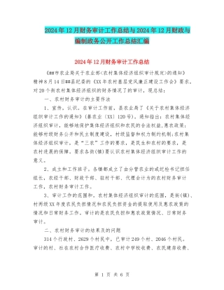 2024年12月财务审计工作总结与2024年12月财政与编制政务公开工作总结汇编