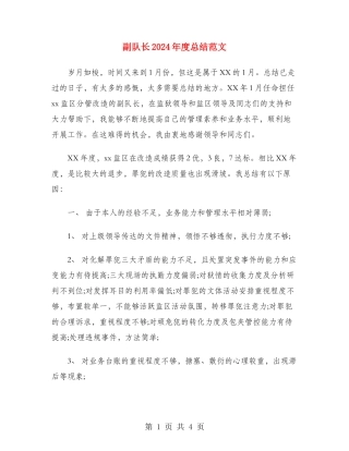 副队长2024年度总结范文