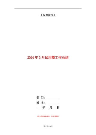 2024年3月试用期工作总结