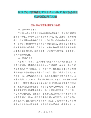 2024年电子商务推进工作总结与2024年电子政务信息化建设总结范文汇编