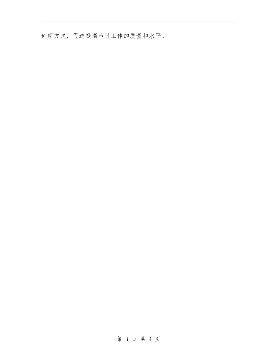 2024审计局工作计划1_第3页