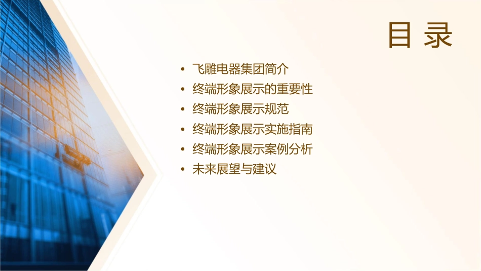飞雕电器集团终端形象展示规范指导手册课件_第2页