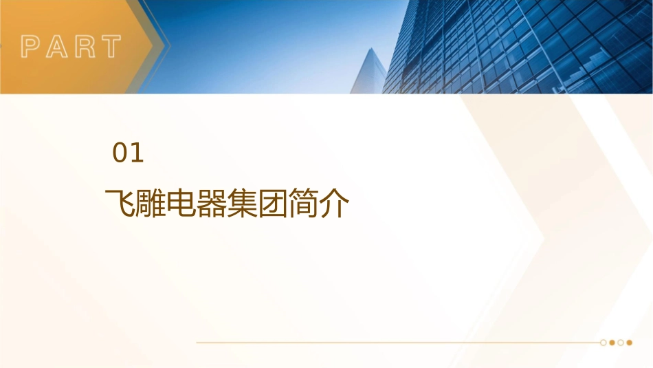 飞雕电器集团终端形象展示规范指导手册课件_第3页