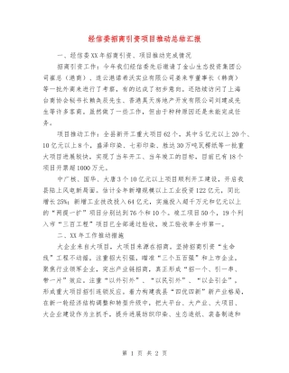 经信委招商引资项目推进总结汇报