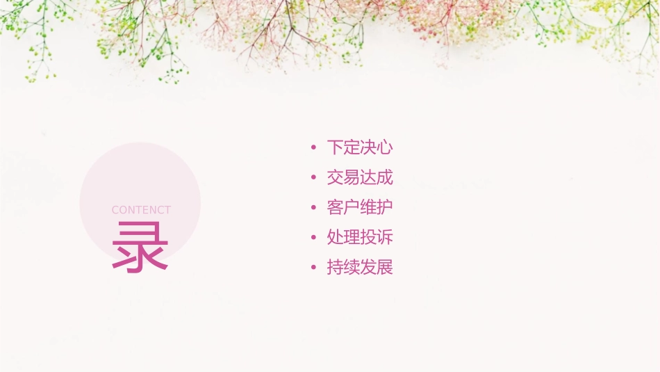 绝对成交的十大步骤(全集)通用课件_第3页