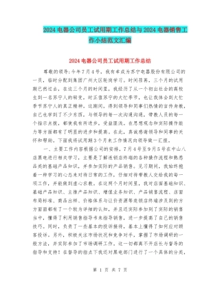 2024电器公司员工试用期工作总结与2024电器销售工作小结范文汇编