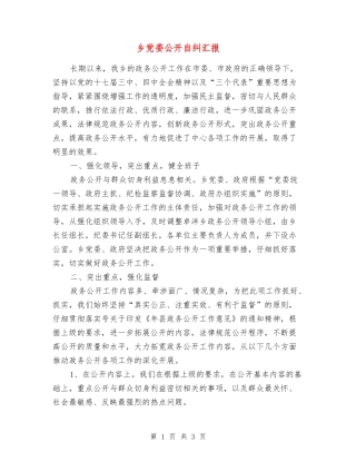 乡党委公开自纠汇报