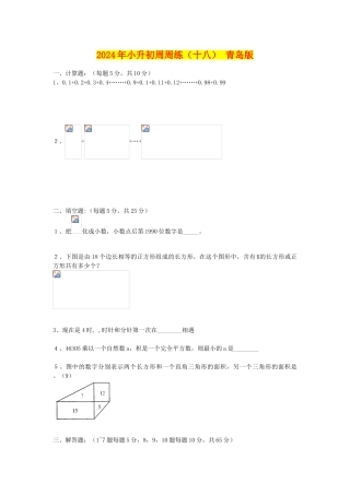 2024年小升初周周练(十八)-青岛版