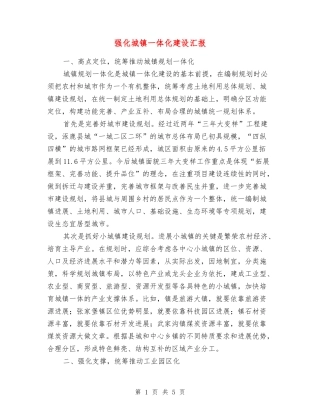 强化城镇一体化建设汇报