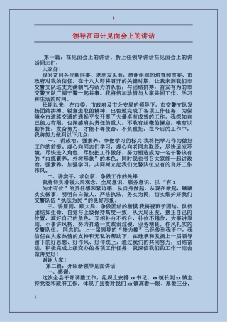 领导在审计见面会上的讲话