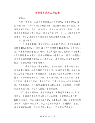 市委春冬抗旱工作汇报