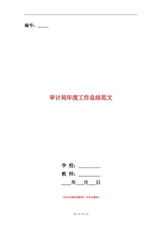 审计局年度工作总结范文