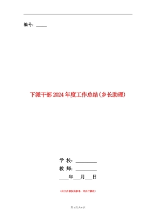 下派干部2024年度工作总结