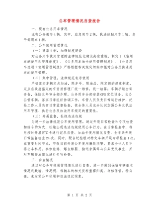 公车管理情况自查报告