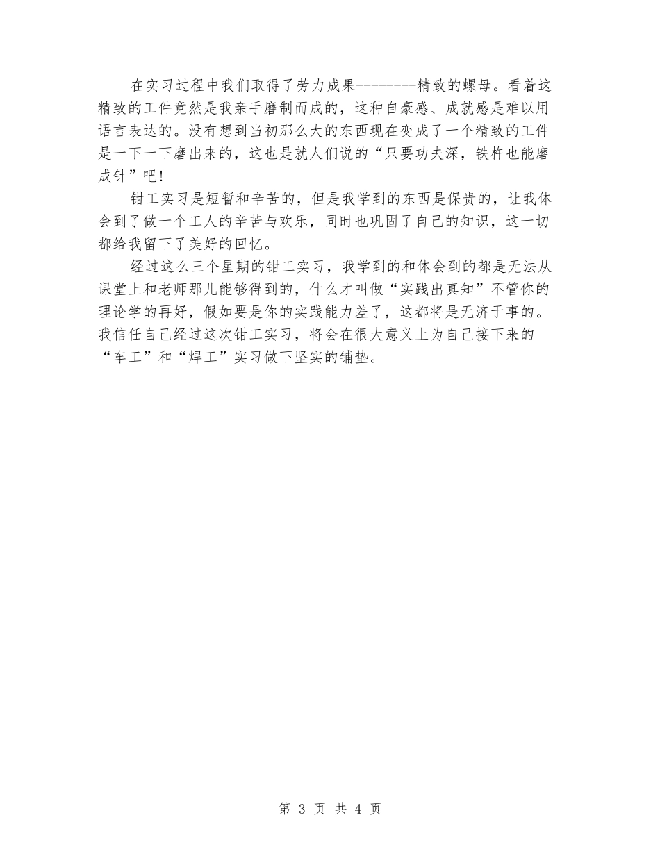 2024年大学生钳工顶岗实习报告_第3页