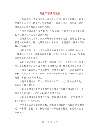 民生工程情况报告